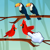 Казуальные