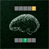 Головоломки