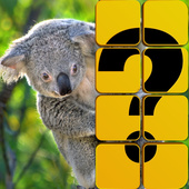 Казуальные