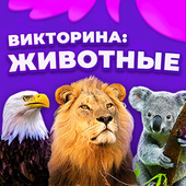 Обучающие