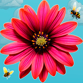 Казуальные