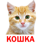 Детские