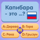 Викторины