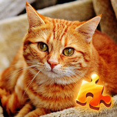 Казуальные