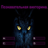 Викторины