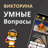 Головоломки