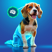 Казуальные