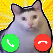 Казуальные