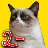 Казуальные