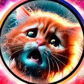 Казуальные