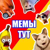Приключения