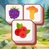 Головоломки