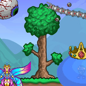 Казуальные