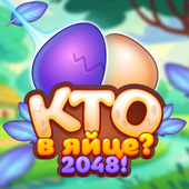Казуальные