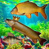 Казуальные