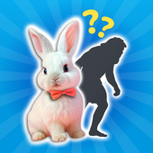 Казуальные