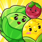 Казуальные