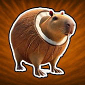 Казуальные