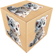 Казуальные