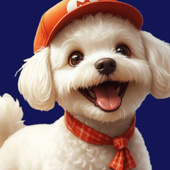 Казуальные