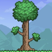 Для мальчиков