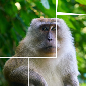 Казуальные