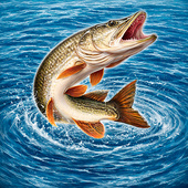 Для мальчиков