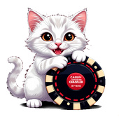 Казуальные