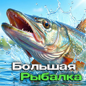 Казуальные