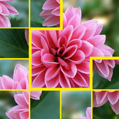 Казуальные