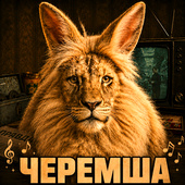 Казуальные